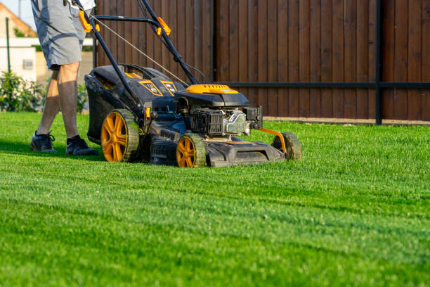 Lawn Mowing in McKinney TX A Guide to Reliable Recurring Lawn Care