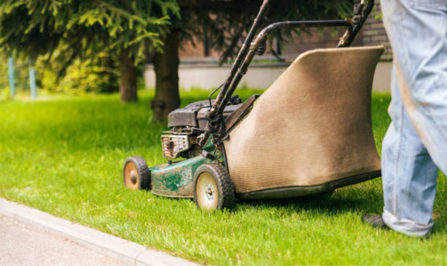 How Often Should You Schedule Lawn Mowing Throughout the Year