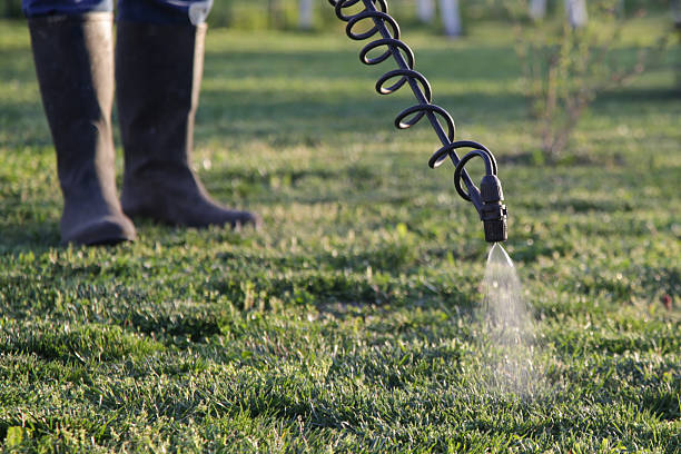 Why Fertilizing and Weed Control Work Better Together