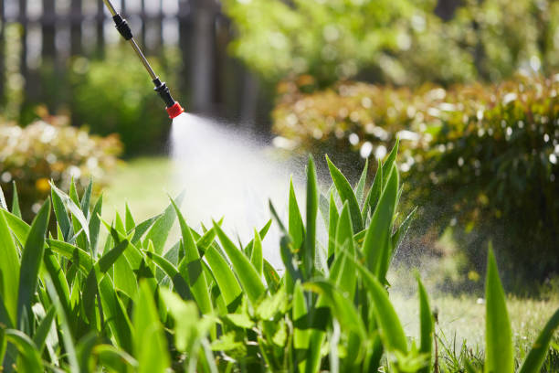 Lawn Fertilization Schedule for Healthy Grass All Year