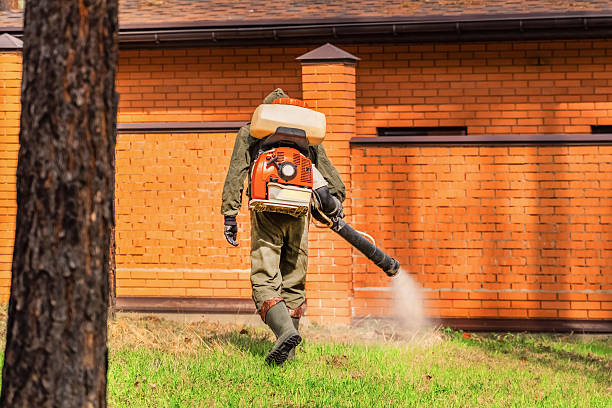 Effective Ways to Reduce Mosquitoes Around Residential Properties