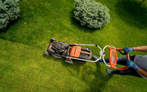 Weekly Lawn Mowing Plans vs Flexible Scheduling Which Approach Fits Your Lawn
